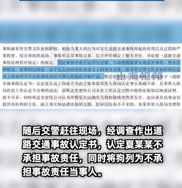 女子下班时被狗撞到工伤判决:本人以外的主要责任