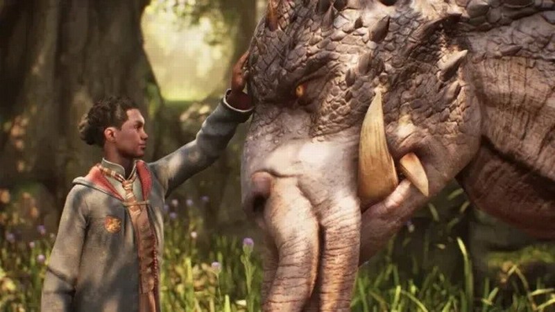 动保组织PETA召唤《霍格沃兹之遗》玩家善待动物