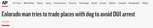 驱狗上路？一名涉嫌酒后驾车的美国司机被拦下，并试图让这只“狗”来承担责任。
