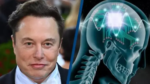 马斯克脑机接口将于2023年推出首个人体植入试验
