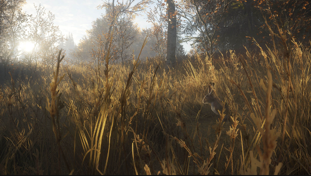 EPICPLUSTwo：《猎人：野性的呼唤》《遗忘国度之闲置冠军》免费
