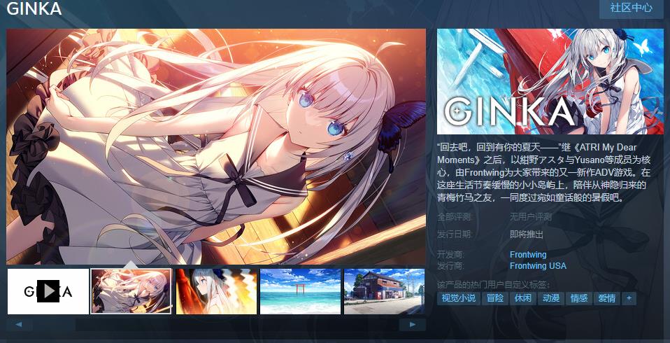 FrontwingADV新推出的《GINKA》页面支持
