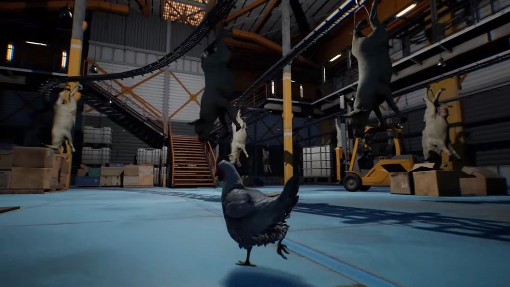 恐怖小说《Saborus》公布了一只逃出屠宰场的鸡的角色
