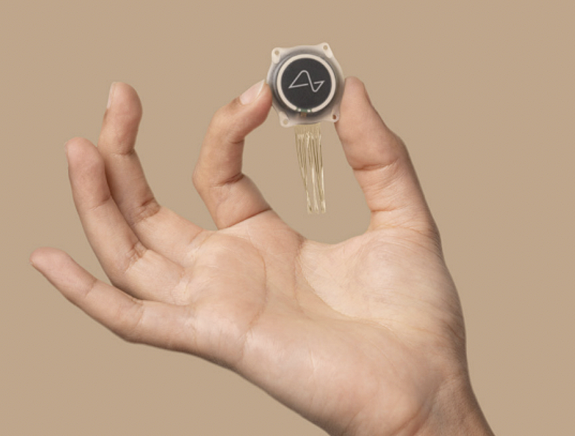 马斯克大脑接口公司邀请志愿者参与实验。数以千计的人注册。
