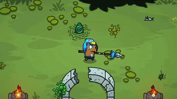 这群巴西人研发了一款可爱的肉鸽，花19元就能让4个人上线。
