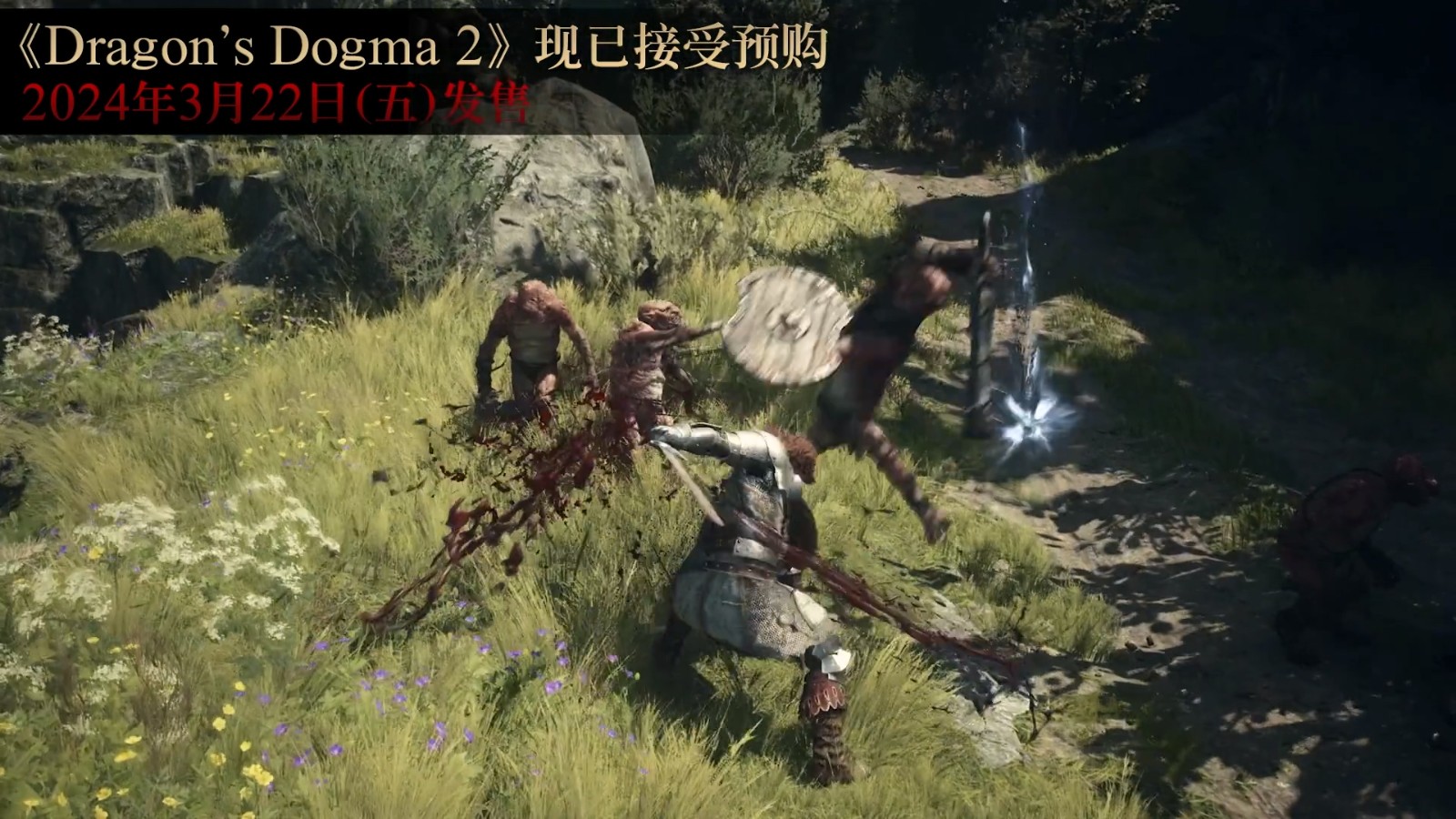 《龙之信条2》奇才、勇士和弓箭手的专业视频演示
