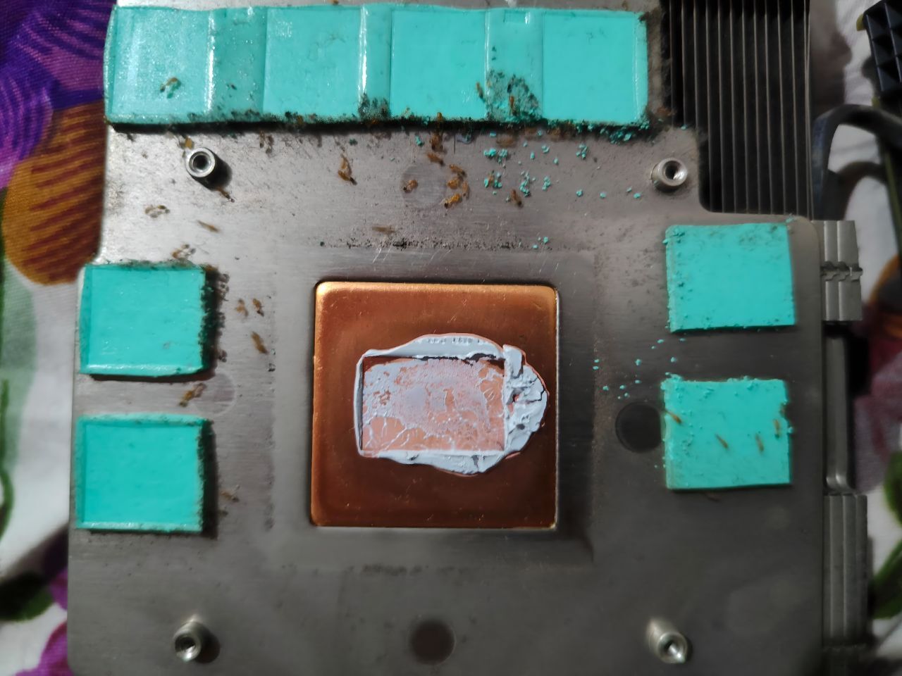 玩家显卡温度奇怪飙升的原因是导热垫被蚂蚁吃掉了。
