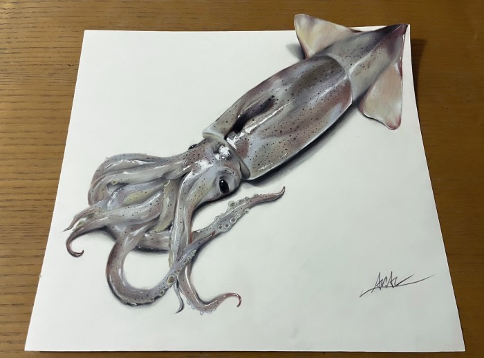 日本画家画超逼真的三维画，但在纸上很难辨别真伪。
