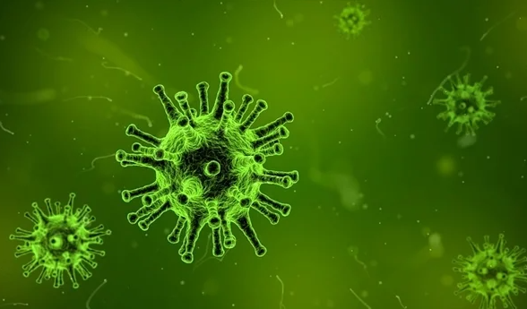 国家疾控局表示，X病很难避免，但大流行是可以预防的。
