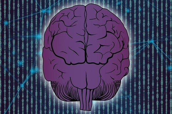 马斯克预测，未来将不再有带有脑机接口的手机
