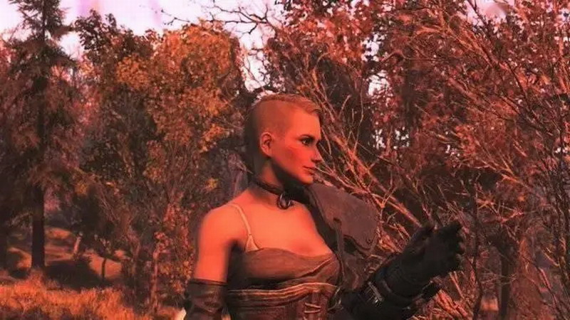 《辐射76》女性角色内衣背带破坏美观？玩家呼吁删除
