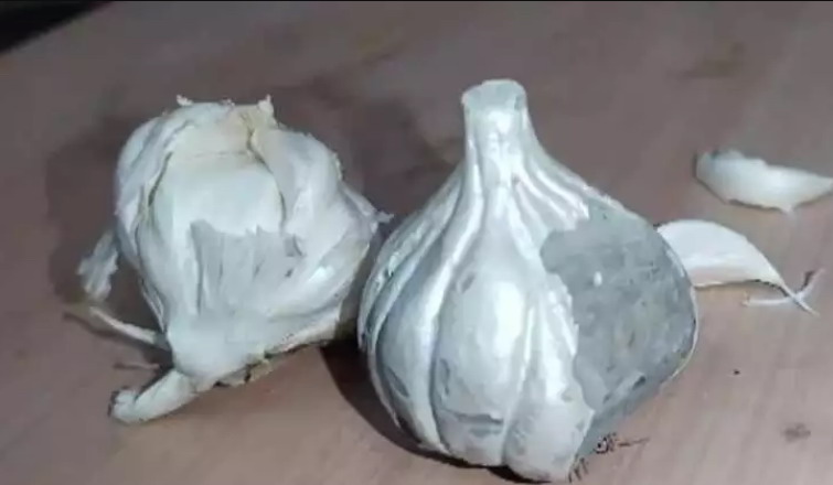 印度街头出现假大蒜：水泥制成，与真大蒜混合出售
