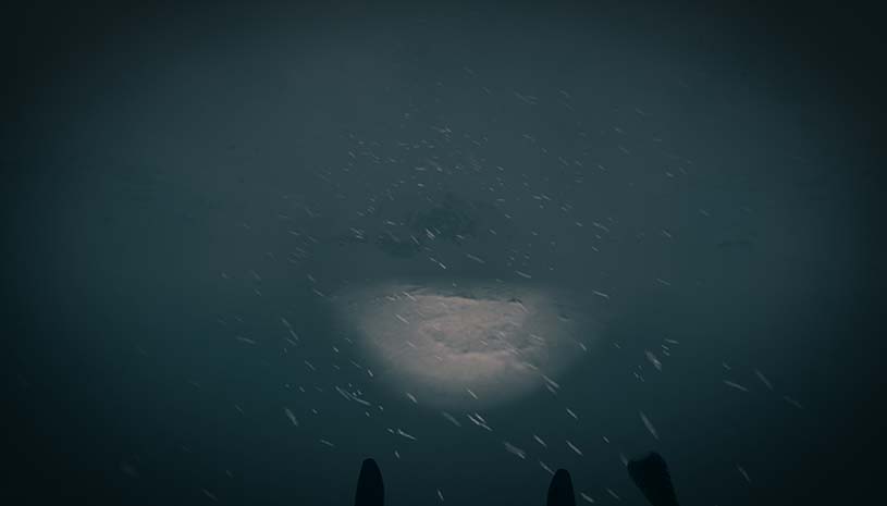 5cdef7367ceaaa309fcc0effebc56887