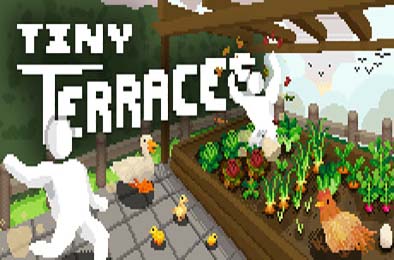 小梯田 / Tiny Terraces