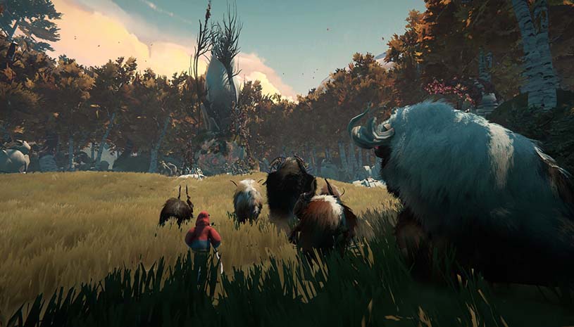 adef1544be11abd3607f3e635494273a