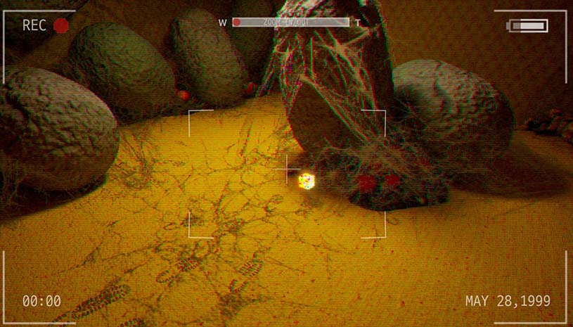 7466076ff4e035e55e1b00e382a7209a