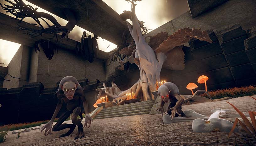 c2cf4ef1abc01c4fba3a313ee3f9c731