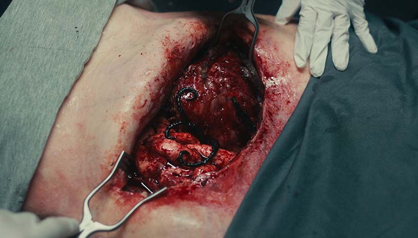 6c3fee516ded0e82ce0371a561fb16a1