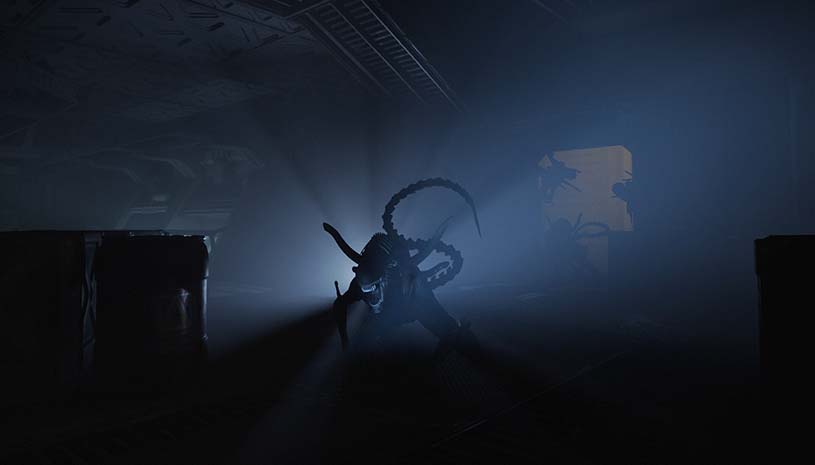 64724a9b9f6c31713dbf669a41859382