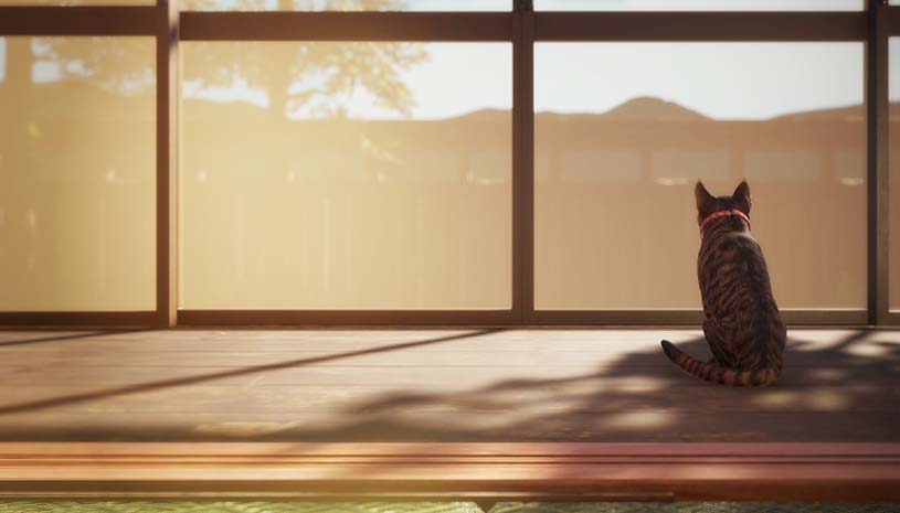 737c64cc377b10448611d2eb33fe6f6d