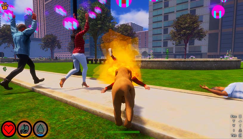 9c672064977c74b20040bb8b7b20b289