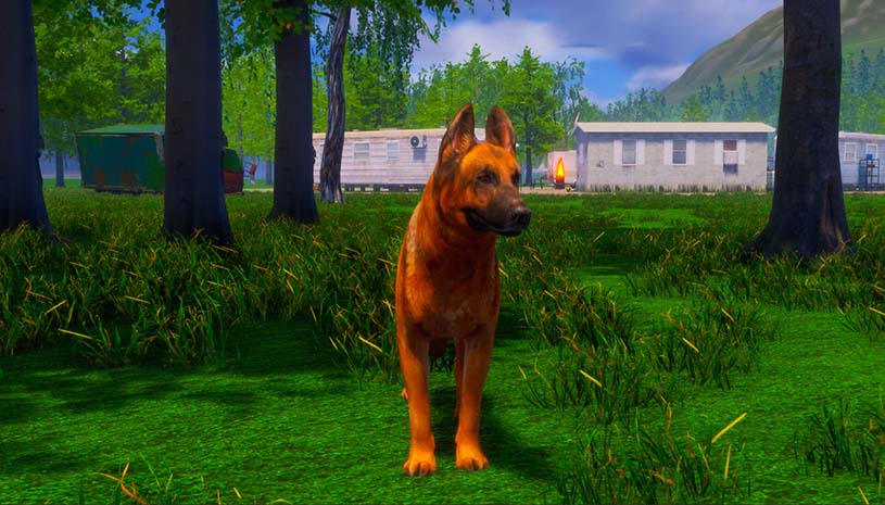 91221a51dabdd943cfab228993be1fd5