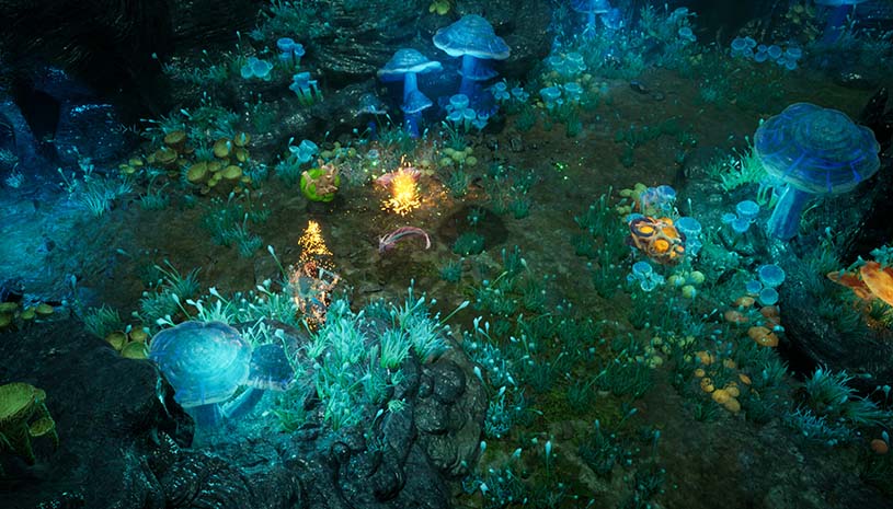 c11575f7e739a0979596cec842e44765